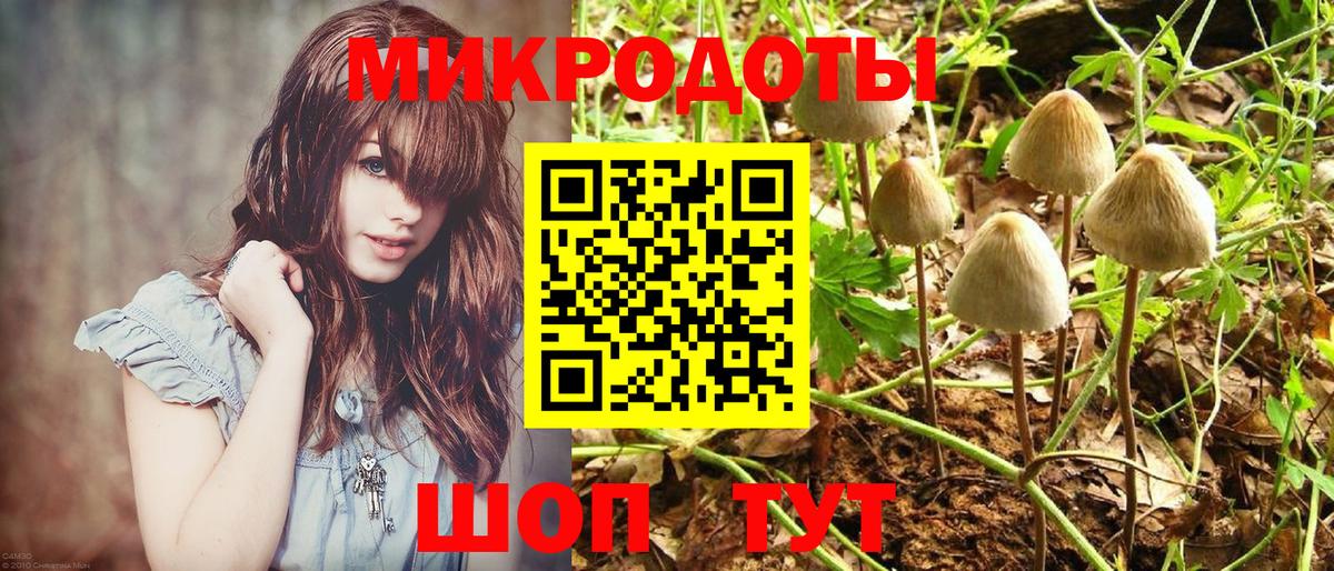 Псилоцибиновые грибы MAGIC MUSHROOMS  Вход с VPN  Галлюциногенные грибы MAGIC MUSHROOMS  Великие Луки 